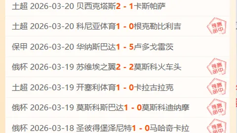2021-2022赛季布鲁日欧冠参赛名单揭秘